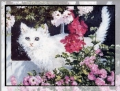 Kwiaty, Biały, Kot