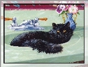 Umywalka, Czarny, Kot