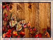 Deski, Motyl, Jesień, Liście