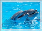 Delfiny, Dwa, Rozemiane
