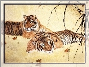 Tygrysy, Dwa, Odpoczywające