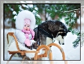 Zima, Dziecko, Siberian Husky, Las, Sanki, Śnieg