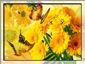 Gerbery, Art, Żółte, Motyle