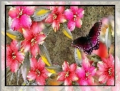 Hibiskus, Art, Kwiaty, Motyl