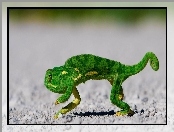 Kameleon, Zielony