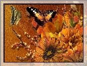 Motyle, Jesienne, Kwiaty
