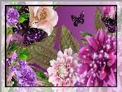Kolorowe, Motyle, Kwiaty, Liście