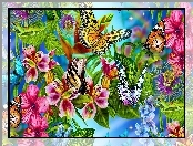Motyle, Kolorowe, Kwiaty
