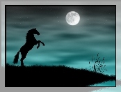 Noc, Koń, Ksieżyc