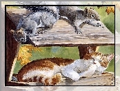 Kot, Malarstwo, Karmnik, Wiewiórki