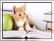 Kot, Jabłko, Książki, Zielone