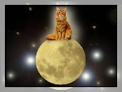 Kot, Księżyc