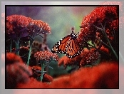 Kwiaty, Monarch, Kwitnące, Motyl