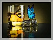 Lód, Motyl, Drink, Niebieski