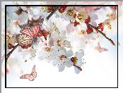 Motyle, Kwiaty, Kwitnace, Drzewa, Galazki