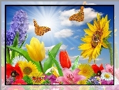 Motyle, Kwiaty, Słońca, Promienie, Kolorowe