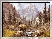 Niedźwiedź, Kamienie, Rzeka, Góry, Las