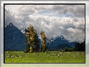 Góry, Pastwisko, Trey Ratcliff, Nowa Zelandia, Owce, Glenarchy