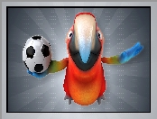Piłka, Grafika 3D, Papuga ara