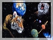 Tygrysy, Planety, William Schimmel, Kosmos