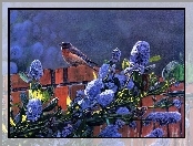 Ptak, Czerwono, Kwiaty, Liliowe, Niebieski, Mur