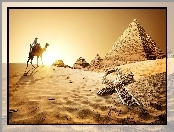 Pustynia, Wielbłąd, Egipt, Piramidy