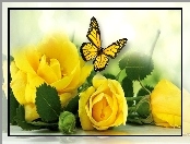 Żółte, Motyl, Róże, Liście