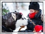 Siberian Husky, Pies, Zima, Dziecko, Gałązka