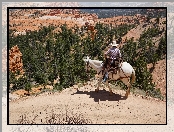 Kanion, Koń, Stany Zjednoczone, Stan Utah, Kowboj, Park Narodowy Bryce Canyon