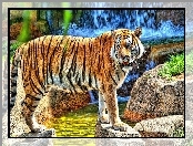 Skały, Tygrys, Wodospad