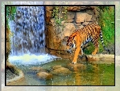 Wodospad, Tygrys