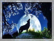 Wilk, Noc, Wyjący, Drzewa
