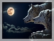 Wilki, Księżyc, Dwa, Noc