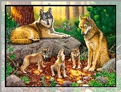 Wilków, Las, Rodzina, Wilki