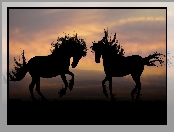 Zachód słońca, Dwa, Konie