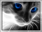 3D, Oczy, Sierść, Kot, Niebieskie