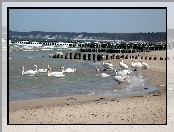 Łabędzie, Plaża