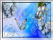 Motyle, Abstralcja, Niezapominajki