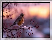 Owoce, Suche, Grafika AI, Ptak, Gałązka