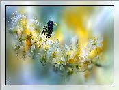 Ptak, Szpak, Grafika AI, Kwiaty, Drzewo owocowe