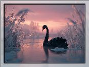 Trawy, Jezioro, Grafika AI, Czarny, Łabędź