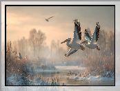 Zima, Lot, Grafika AI, Dwa, Pelikany