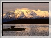Niedźwiedź, Alaska, Góry