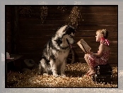 Alaskan Malamute, Książka, Pies, Dziewczynka