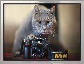 Aparat, Nikon, Kot, Fotograficzny