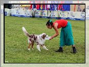 Aportowanie, Frisbee, Border Collie, Pies, Kobieta