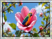 Kwiat, Kwitnąca, Papuga, Ara, Gałązka, Różowy