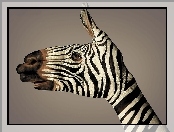 Zebra, Bodypainting