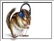 Chipmunk, Słuchawki