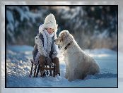 Sanki, Chłopiec, Śnieg, Golden retriever, Zima, Pies